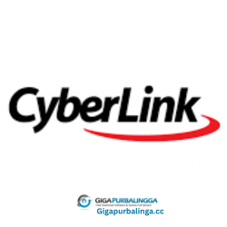 Cyberlink VideoMeeting Deluxe