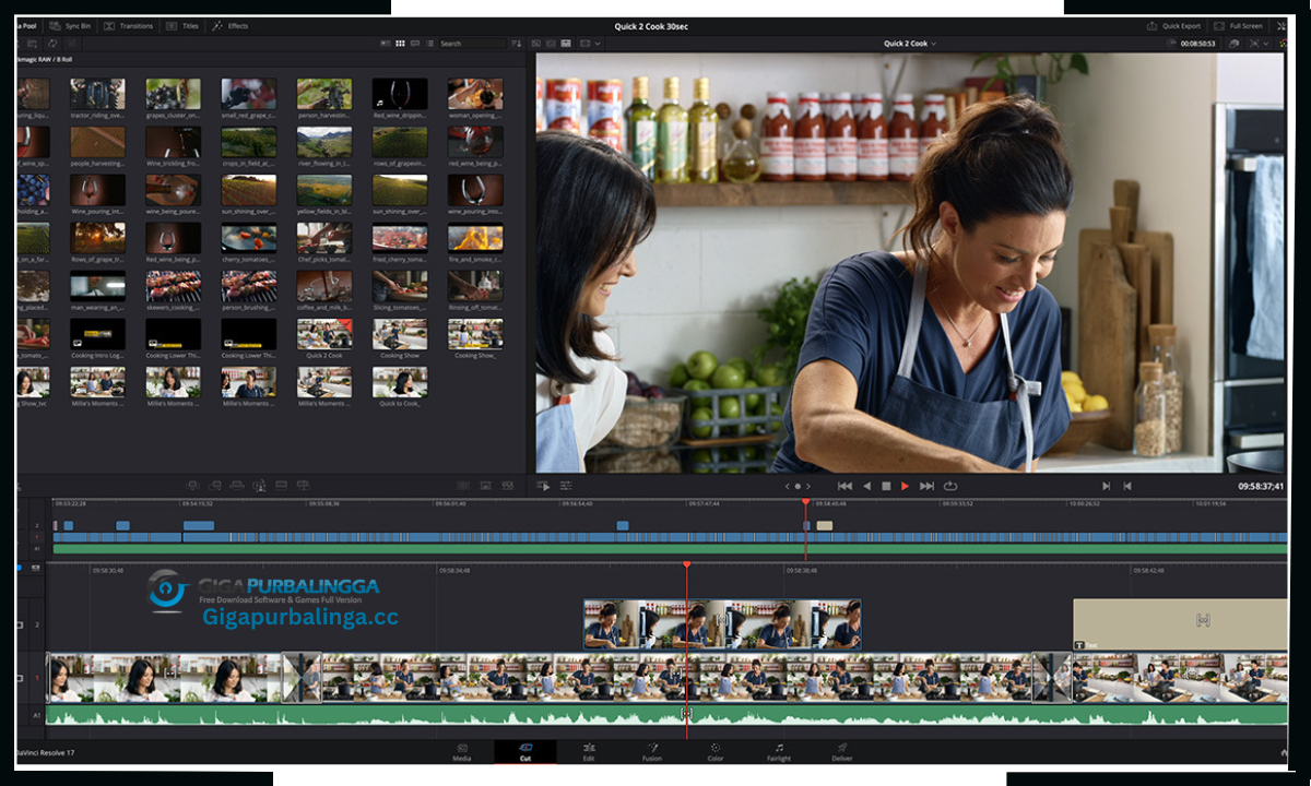 DaVinci Resolve Studio Download