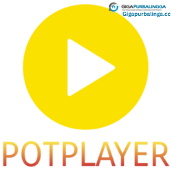 Daum PotPlayer