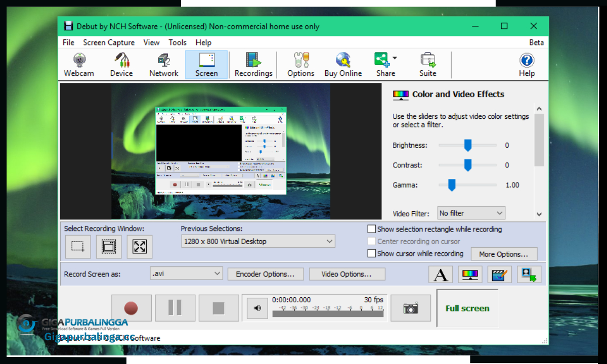 Debut Video Capture Pro Download