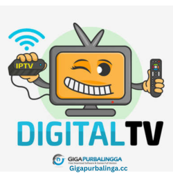 Digital TV