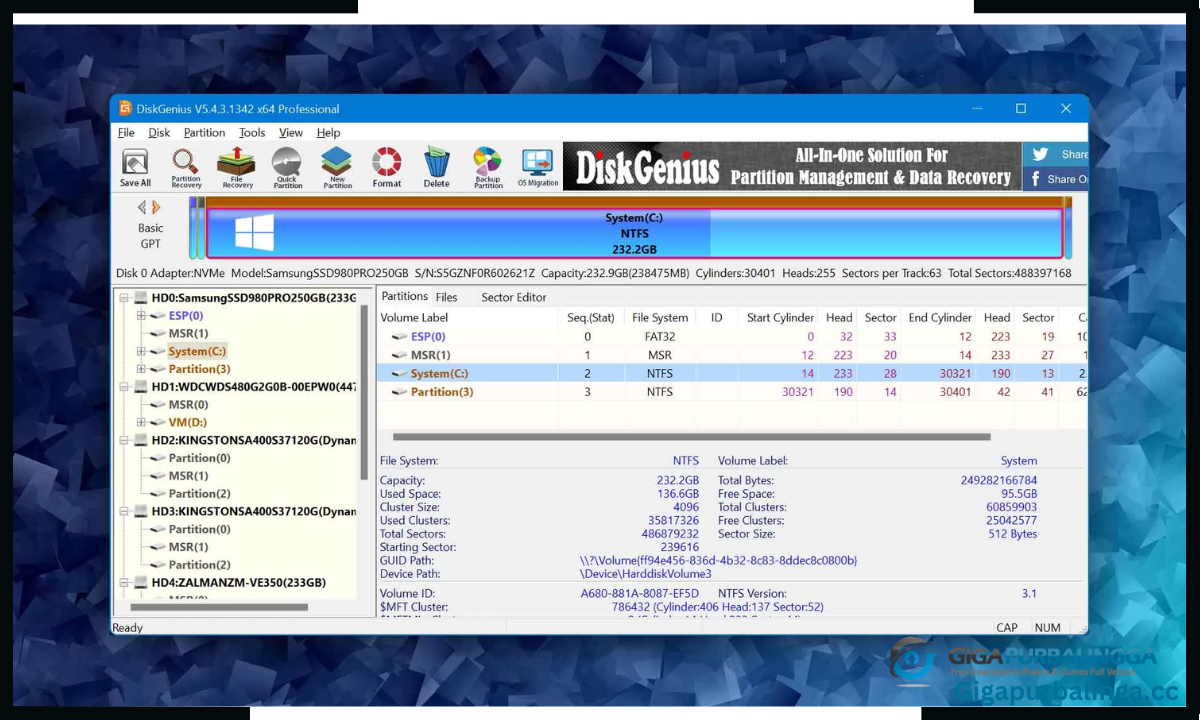 DiskGenius Professional Download