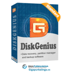 DiskGenius Professional