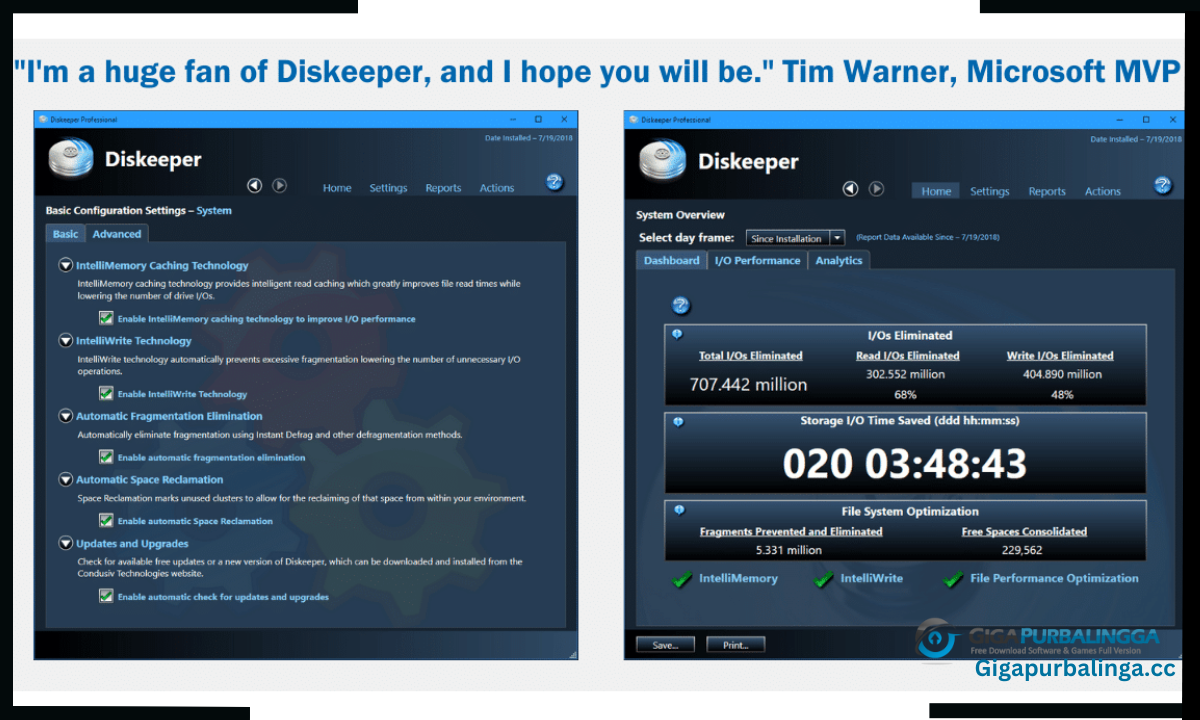 Diskeeper Professional Download