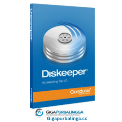 Diskeeper Professional