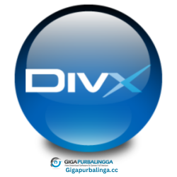 DivX Plus