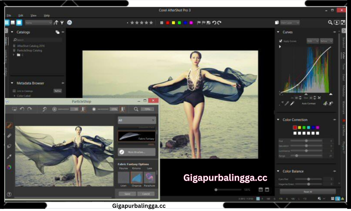 Download Corel ParticleShop