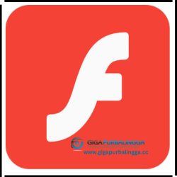 Download Flash Player Full Crack