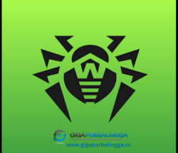 Dr Web Security Space Serial Key