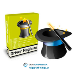 Driver Magician