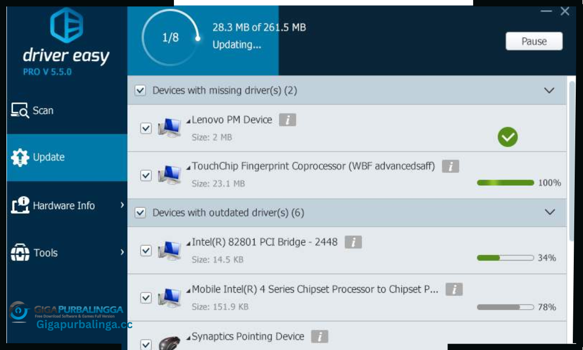 DriverEasy Professional Download