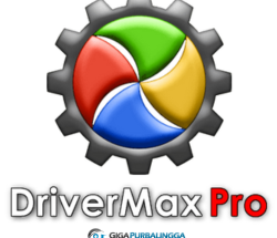 DriverMax Pro