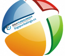 DriverPack Solution