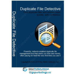 Duplicate File Detective Enterprise