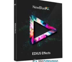 EDIUS Pro