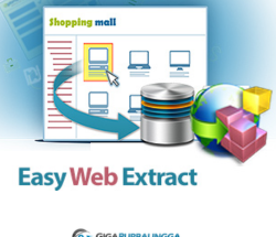 Easy Web Extract