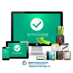 Efficient Efficcess