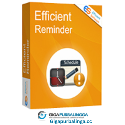 Efficient Reminder