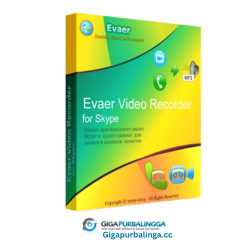 Evaer Video Recorder