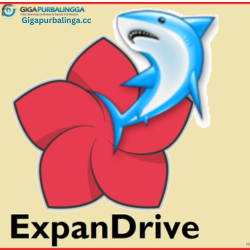 ExpanDrive
