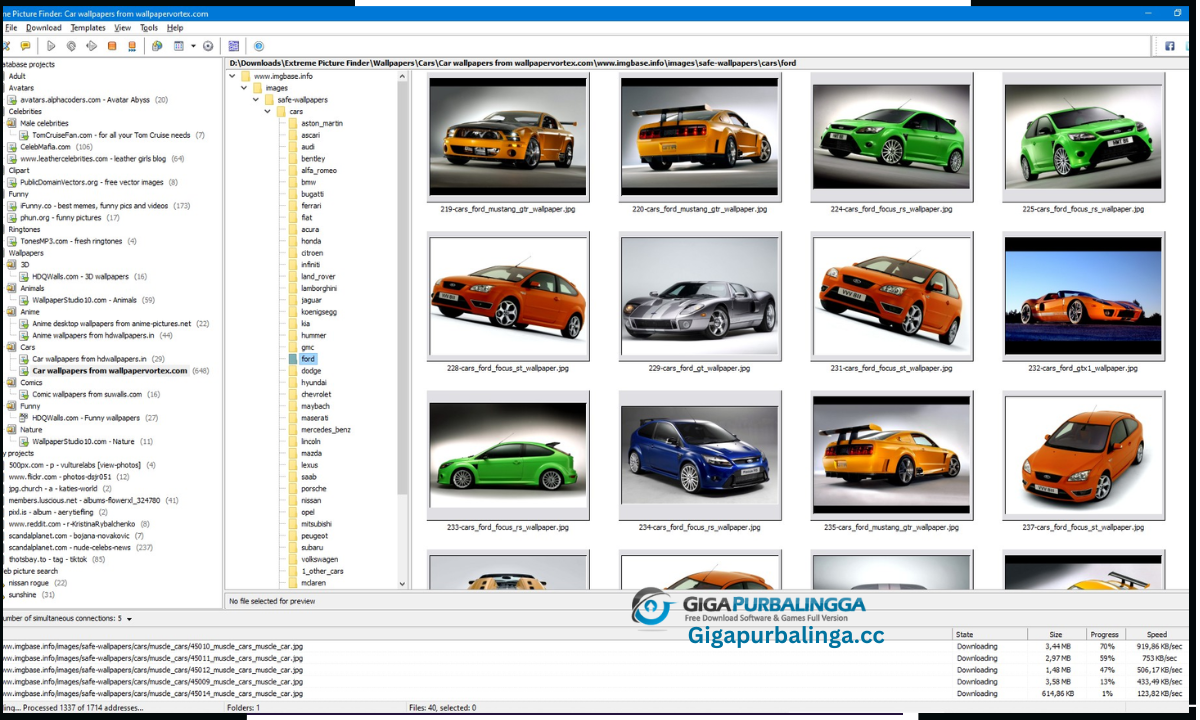 Extreme Picture Finder Download