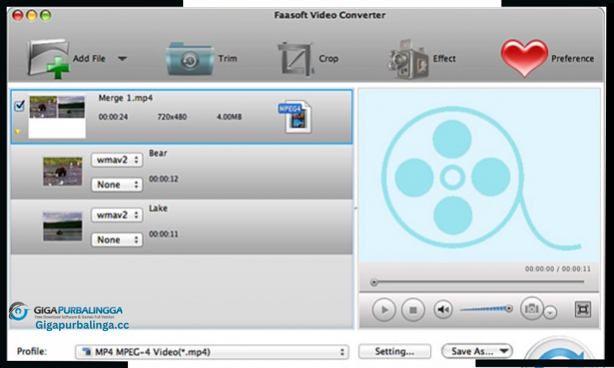Faasoft Video Converter Download
