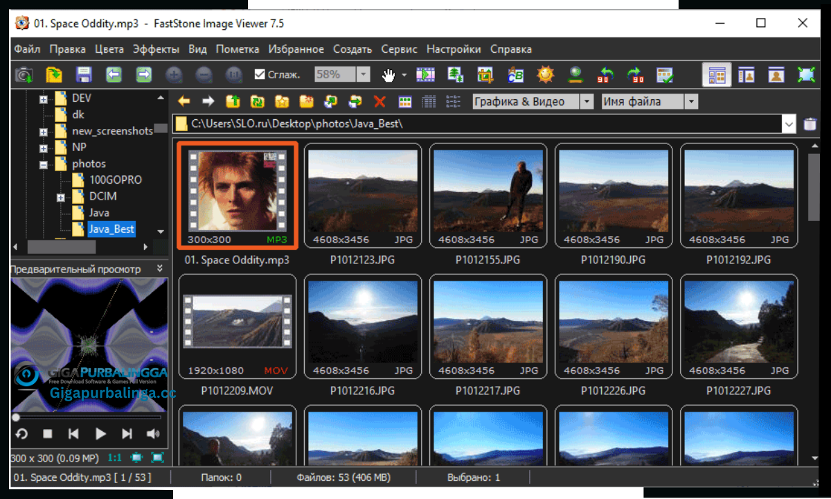 FastStone Image Viewer Download