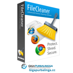 FileCleaner Pro