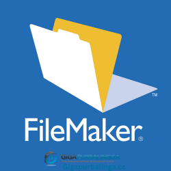 FileMaker Pro