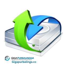 FileRestorePlus