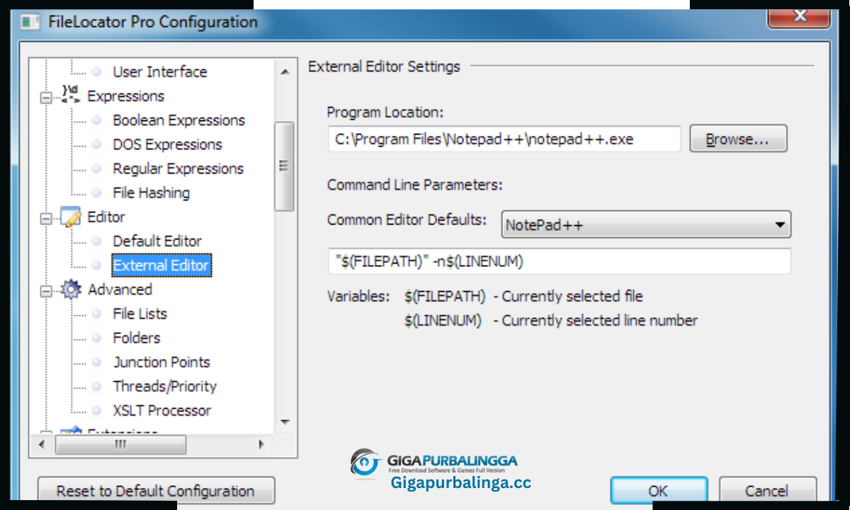 Filelocator Pro Download