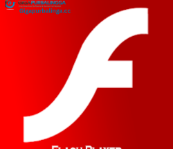 Flash Player Pro