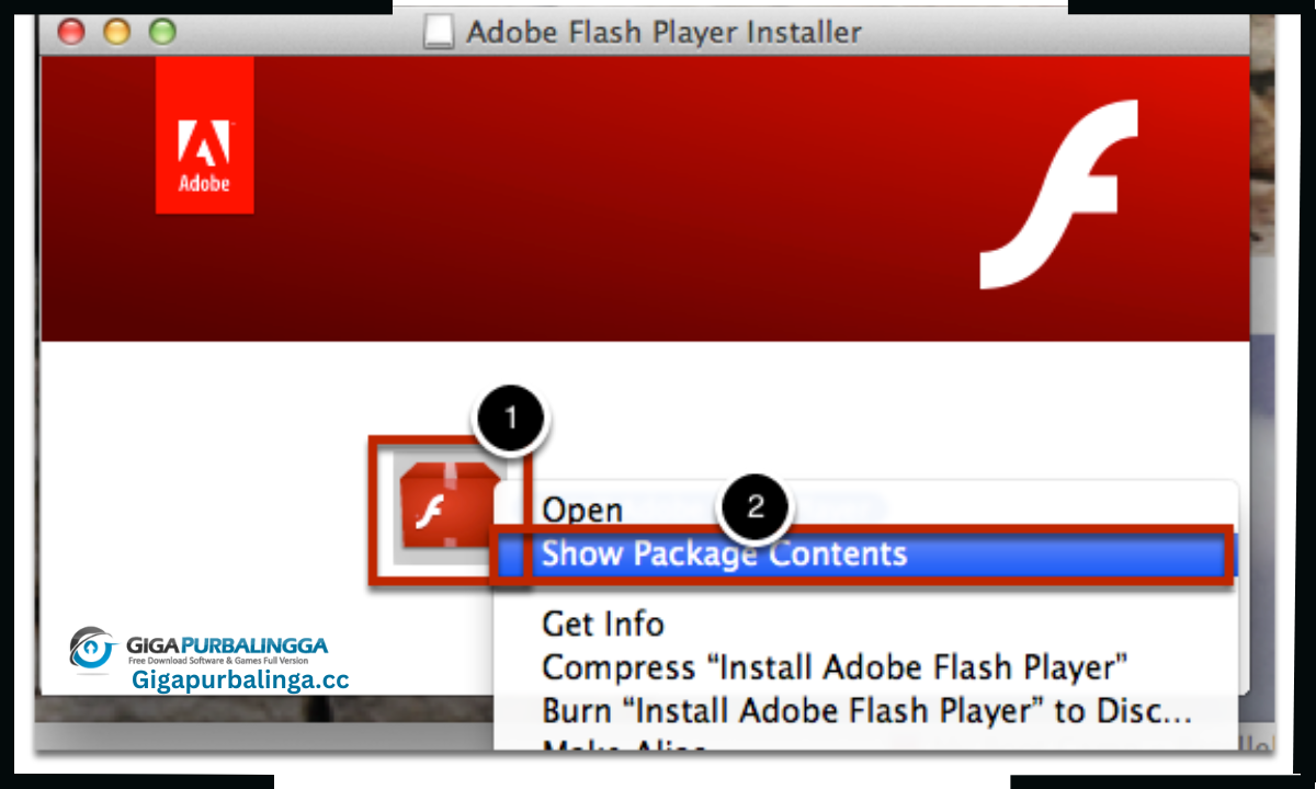Flash Player Pro Download