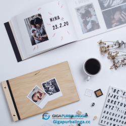 FotoAlbum Pro