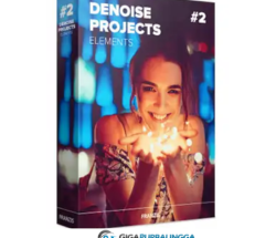Franzis Denoise Projects Professional