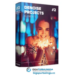 Franzis Denoise Projects Professional