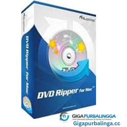 GiliSoft DVD Ripper