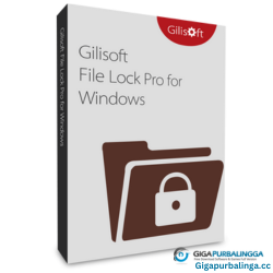 Gilisoft File Lock Pro