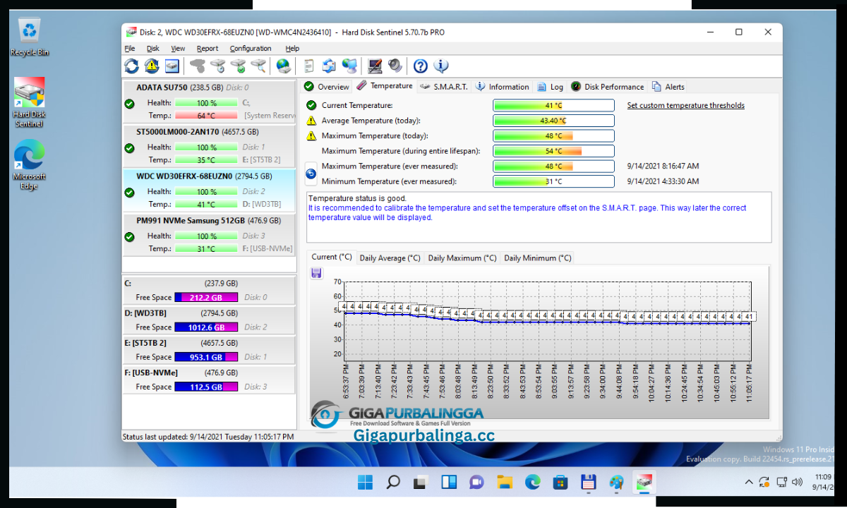 Hard Disk Sentinel Pro Download