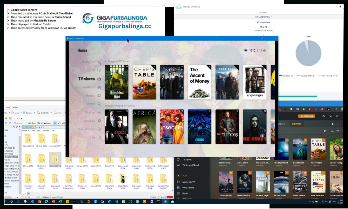 Hard Disk Shield Download