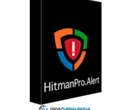 Hitman Pro