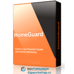 HomeGuard Professional