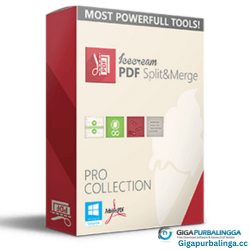 Icecream PDF Editor Pro