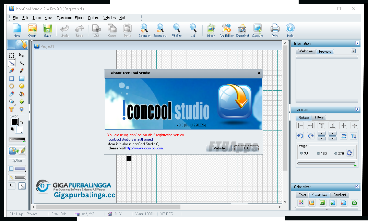 IconCool Studio Pro Download