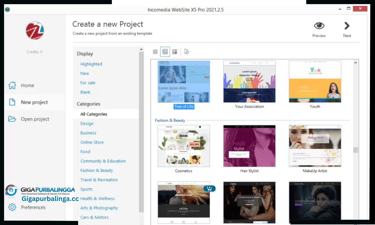Incomedia WebSite Download