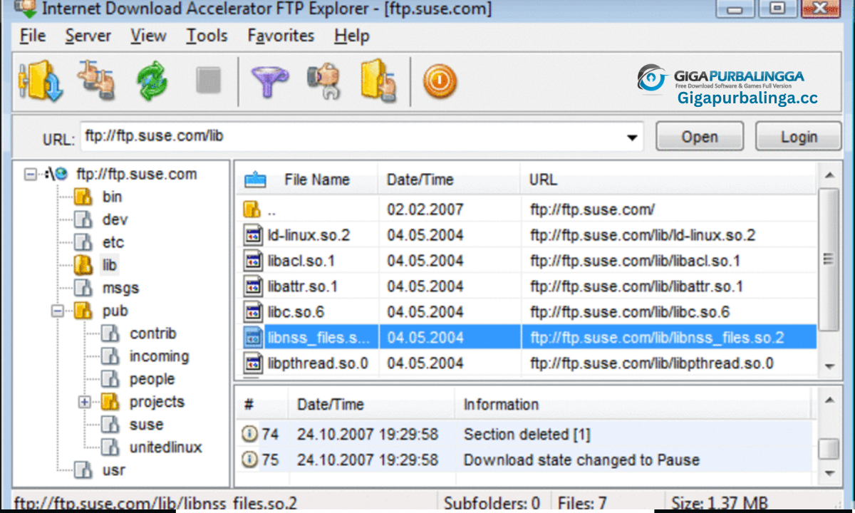 Internet Download Accelerator Download