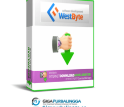 Internet Download Accelerator Pro