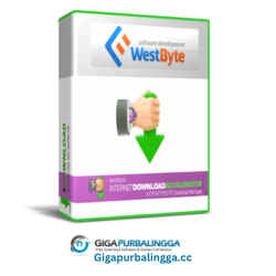 Internet Download Accelerator Pro