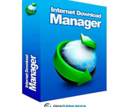 Internet Download Manager