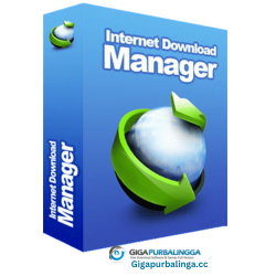 Internet Download Manager